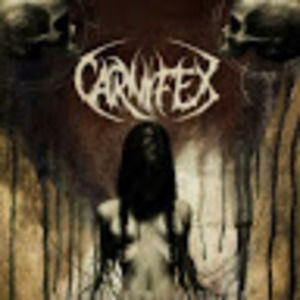 Meet your Posher, Tanner